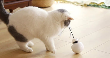 AutoPlay Laser Cat Entertainer - 360 Rotating