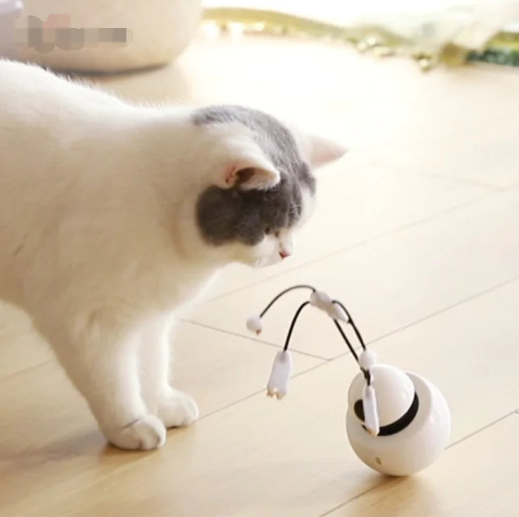 AutoPlay Laser Cat Entertainer - 360 Rotating