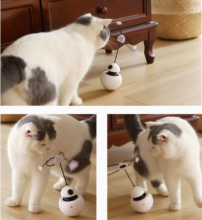 AutoPlay Laser Cat Entertainer - 360 Rotating